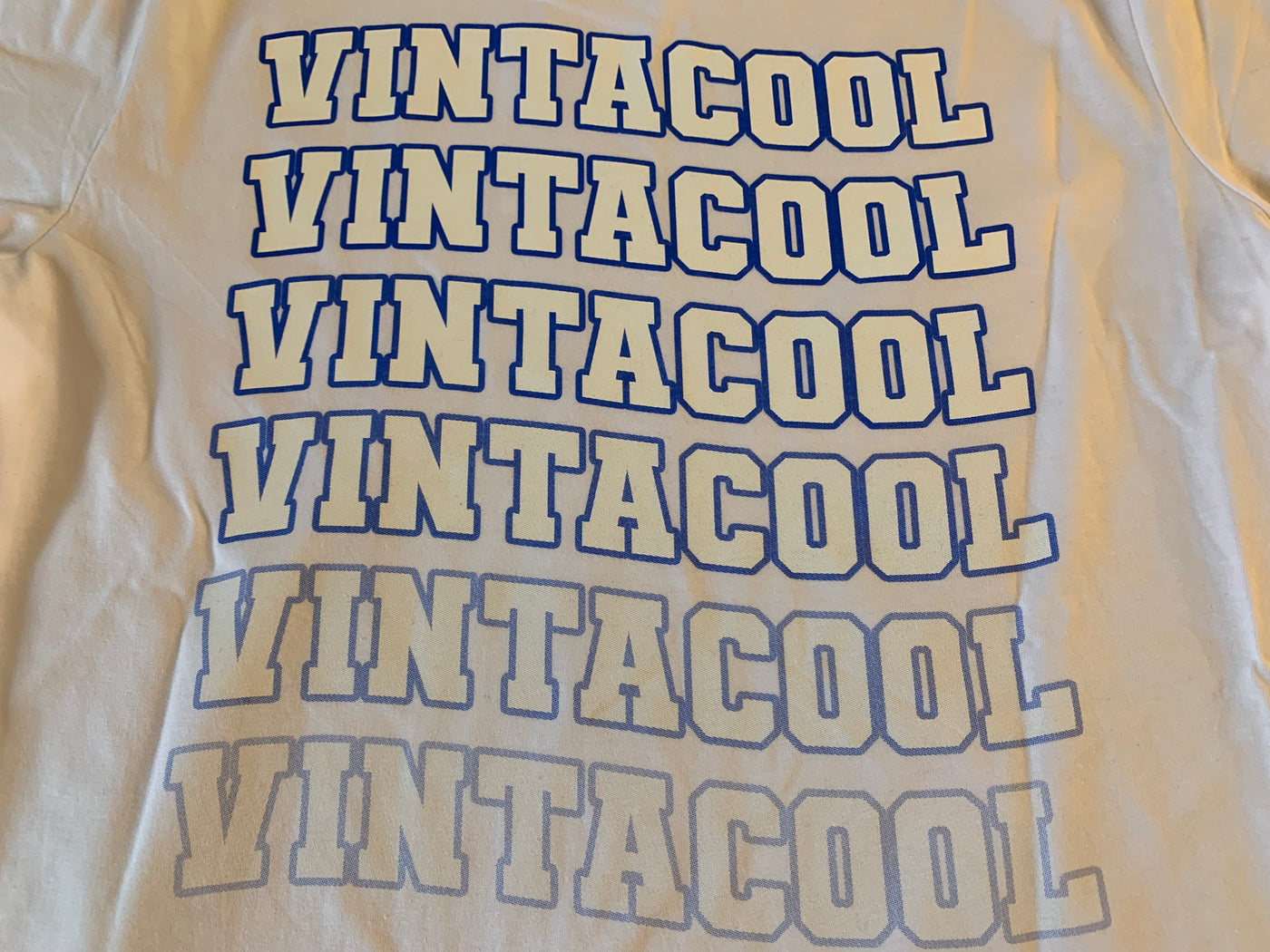 vintacool t-shirt bagfra print